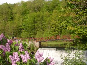 Springtime in Marcellus
