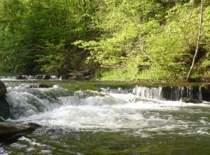 gallery_0005_gallery_nine_mile2