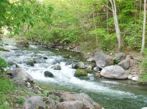 gallery_0006_gallery_nine_mile