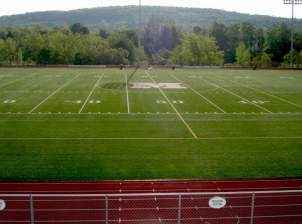 gallery_0010_gallery_turf