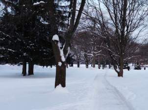 gallery_winter2