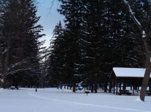 gallery_winter4