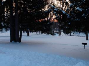 gallery_winter6