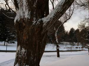gallery_winter7