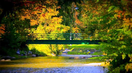 A beautiful fall day in Marcellus Park