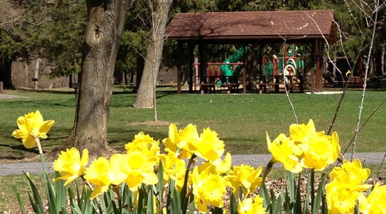 A Park For All Seasons